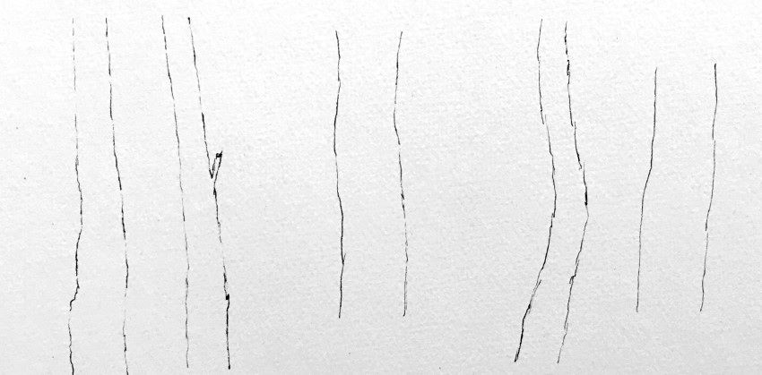 Drawing the form (structure) for trees