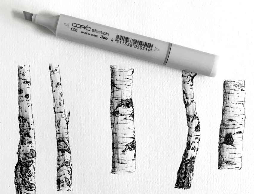 How to Draw Realistic Trees with Ink Pens: Observation, Shading