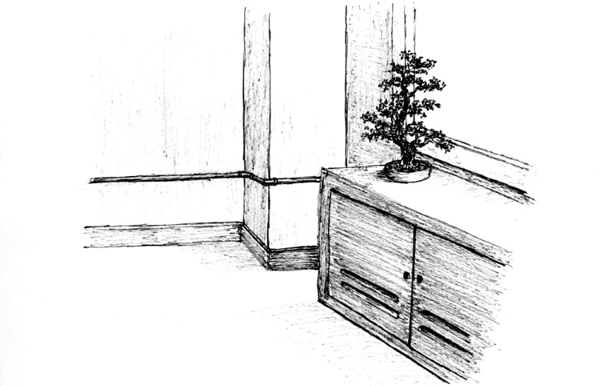 Pen drawing of a bonsai tree in a room