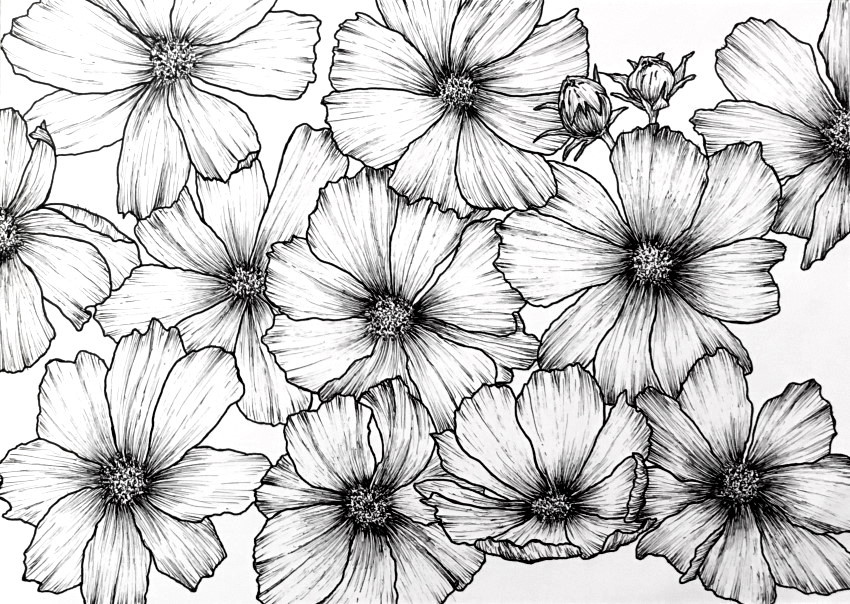 Share 75+ pen sketches of flowers - in.eteachers