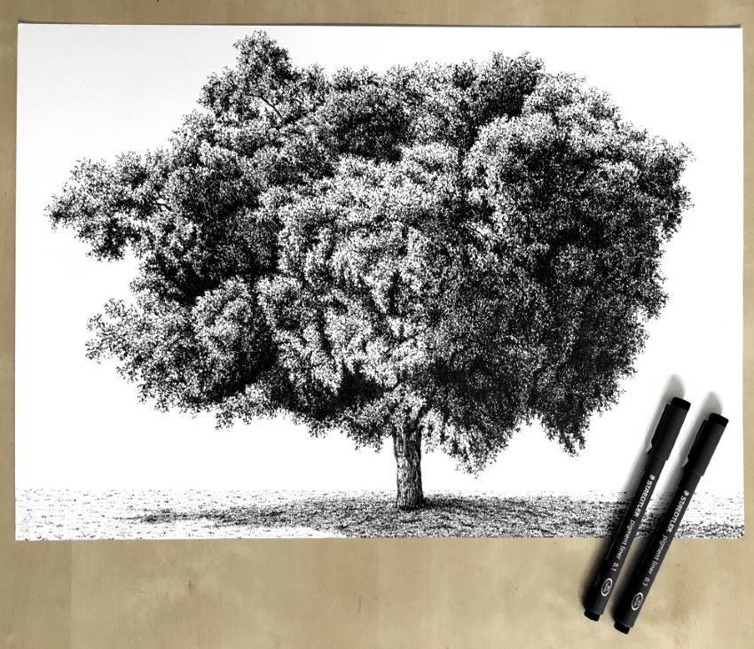 Tree drawing - How to draw a tree - Easy drawings easy