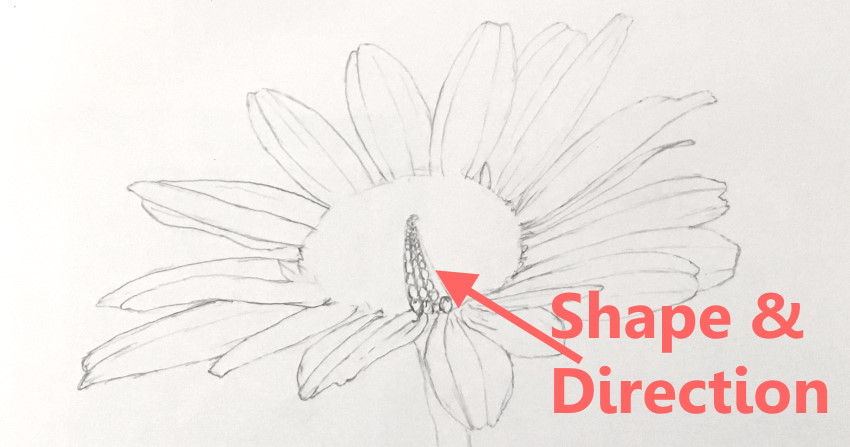 How to draw the middle of a flower