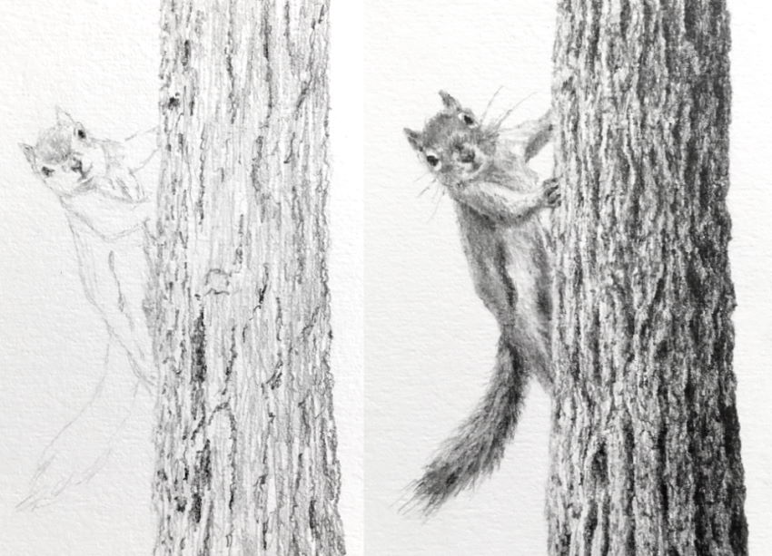 How to Draw Realistic Trees with Ink Pens: Observation, Shading