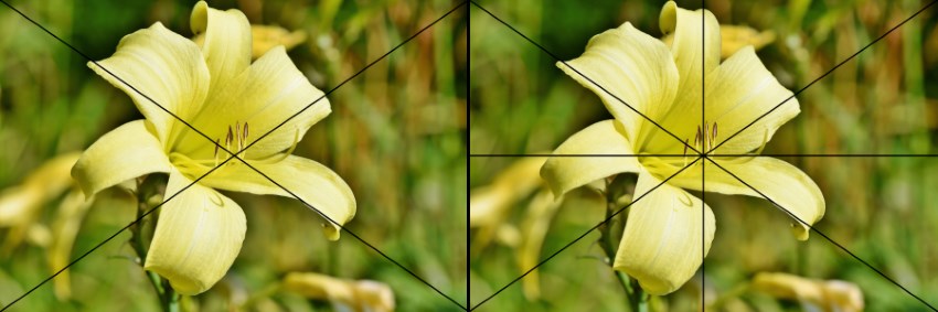 Finding the center of an image