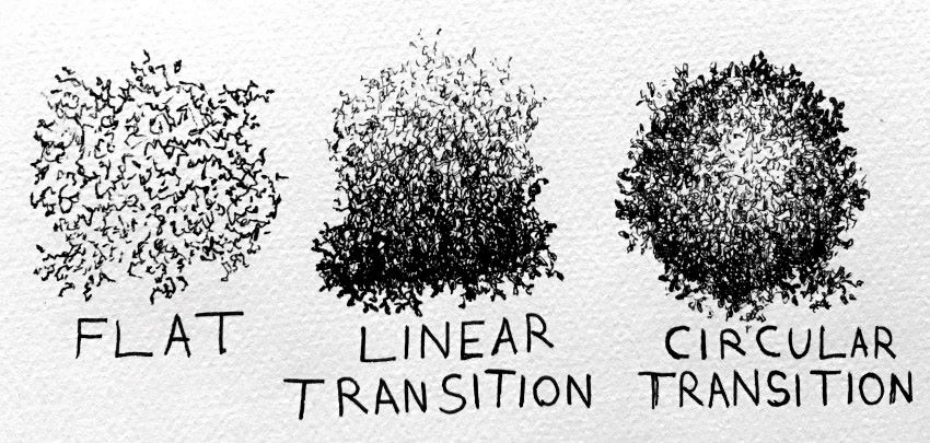 Different types of values transitions in leaves