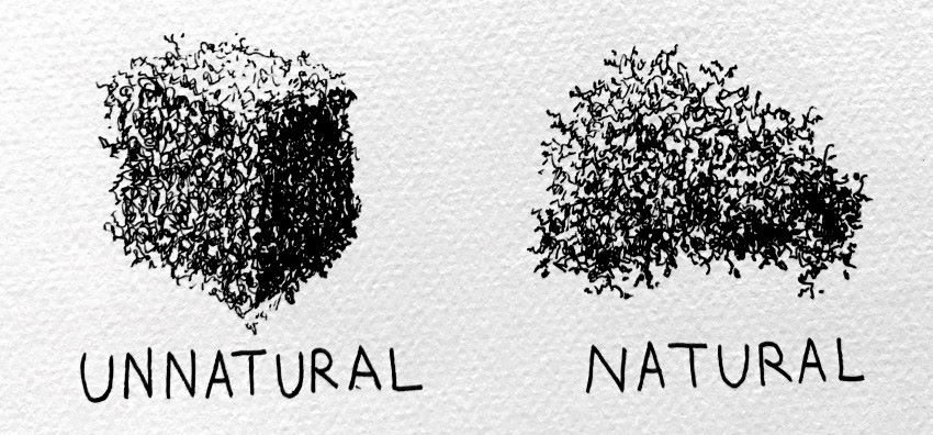 Drawing of an unnatural leaves box vs natural leaves