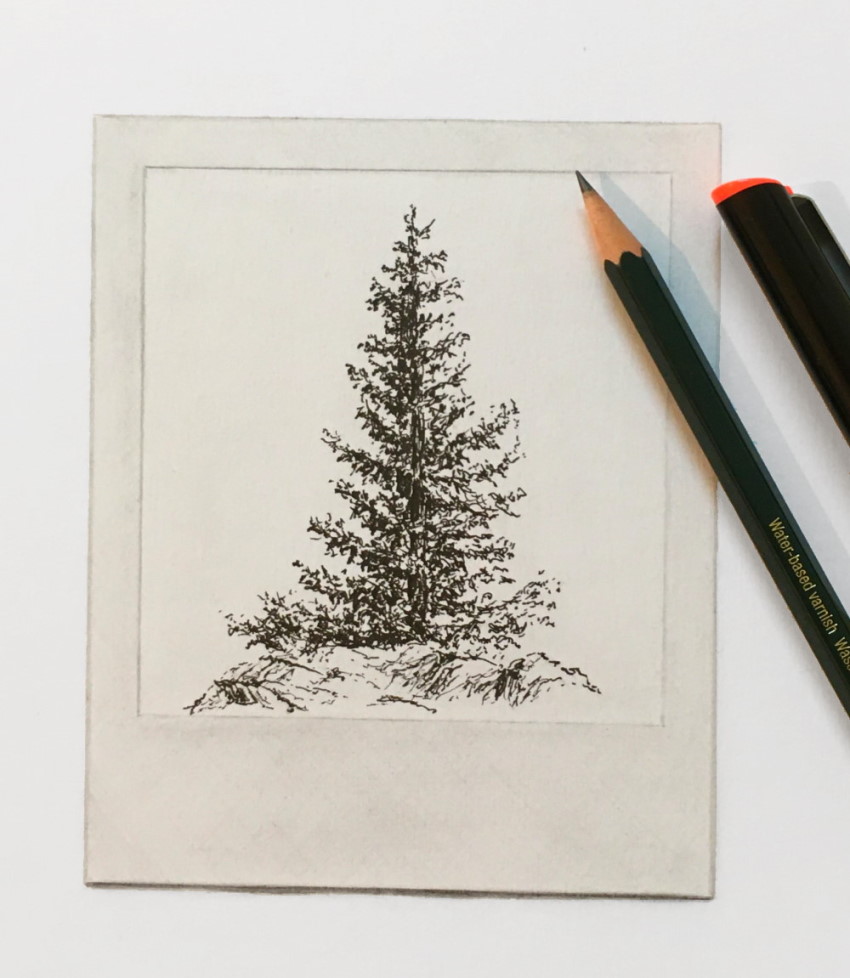 Pine tree mixed media drawing