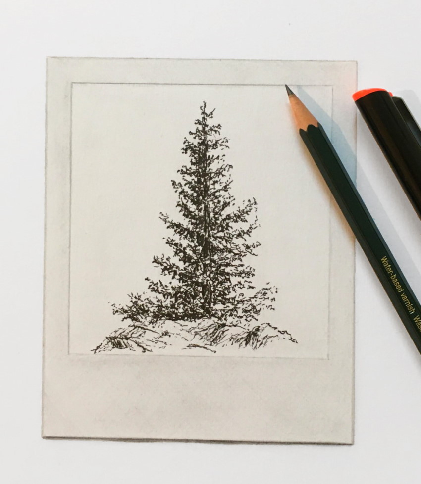 christmas tree pencil drawings