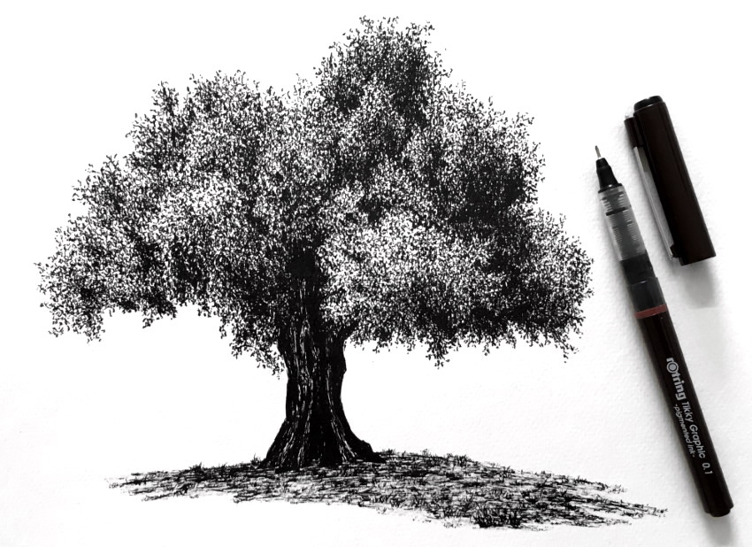 A Knavish Doodle: Acacia Tree