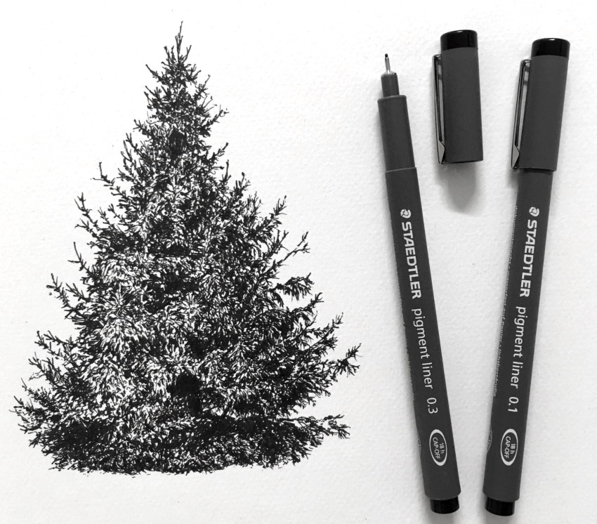Realistic pine tree pen drawing