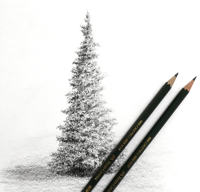 Realistic pine tree pencil drawing