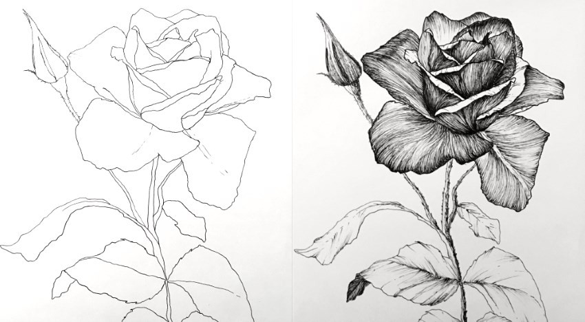 Different Types Of Flowers To Draw - It shows the number of floral ...