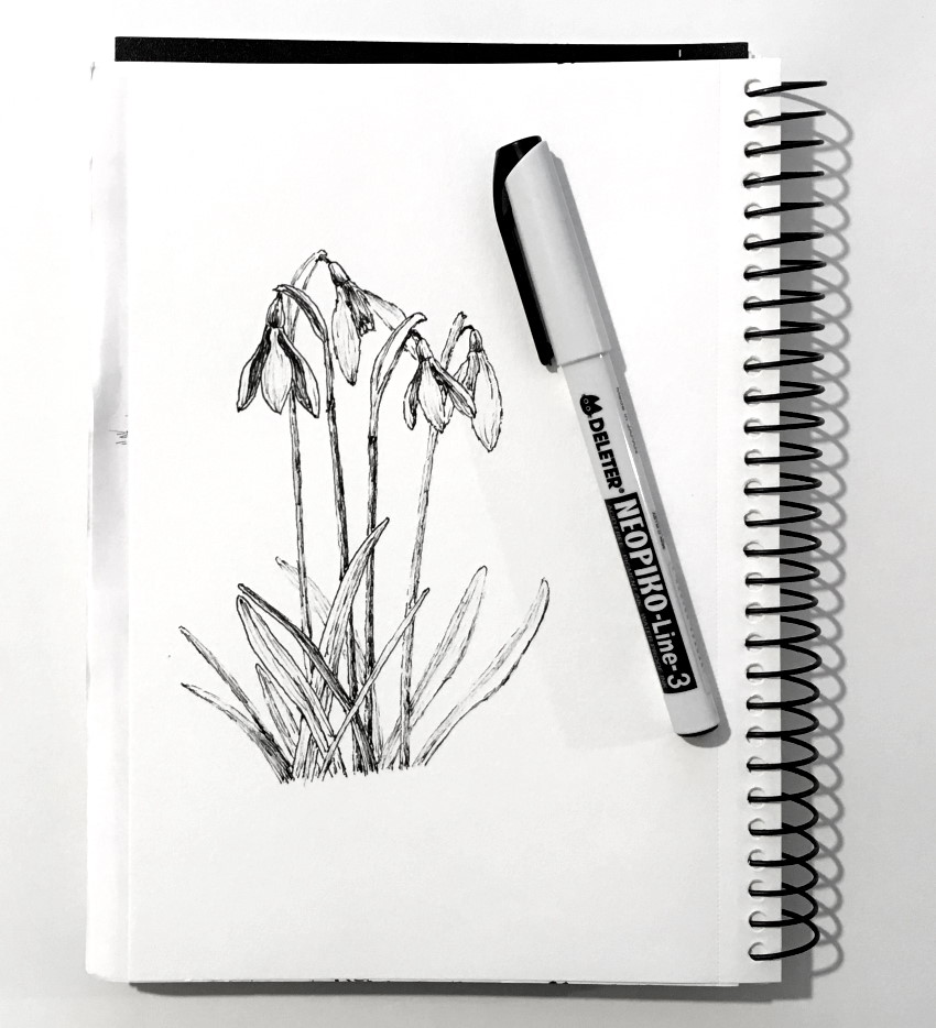 A Pen Drawing of Flowers · Creative Fabrica