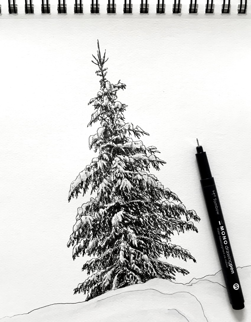 Pen drawing of a snowy pine tree