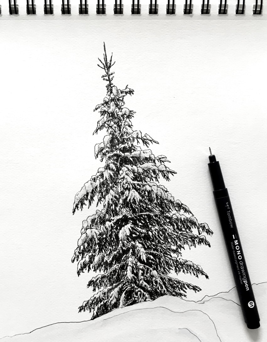 How to Draw Realistic Trees with Ink Pens: Observation, Shading