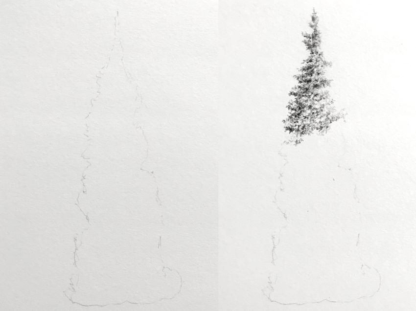 Process for drawing a tree
