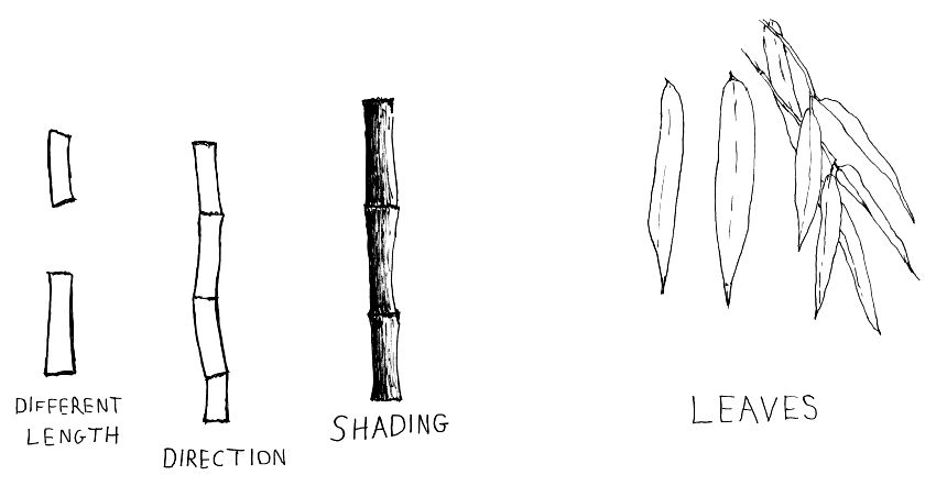 Steps for drawing bamboo trees