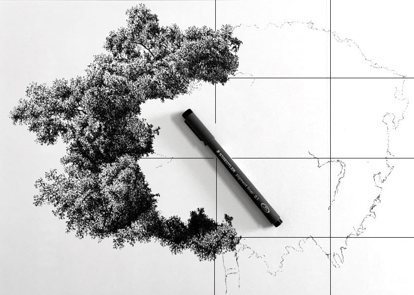 Big tree drawing with guidelines grid