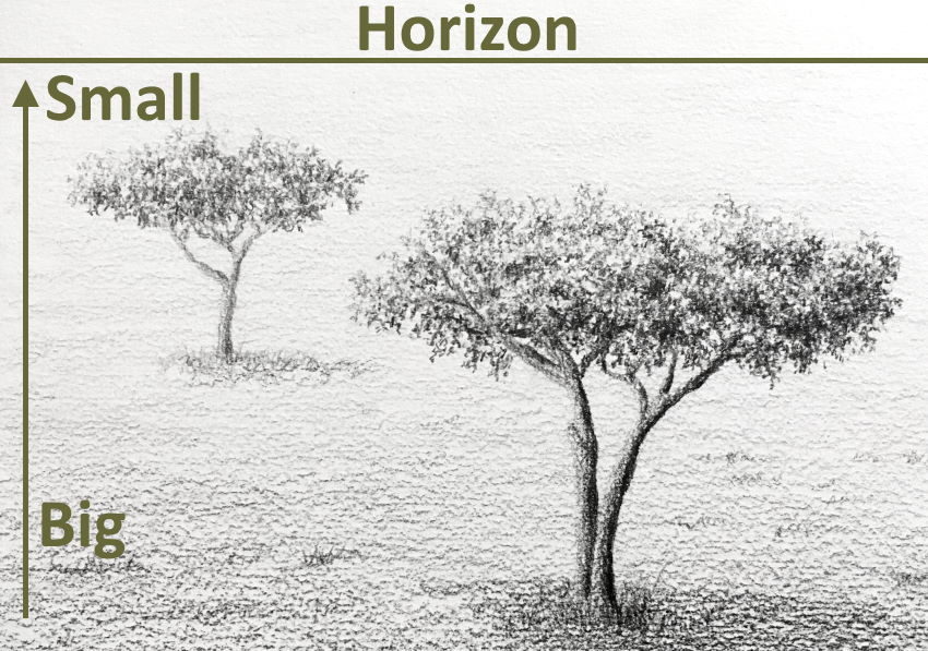 A graphite drawing of trees below the horizon line