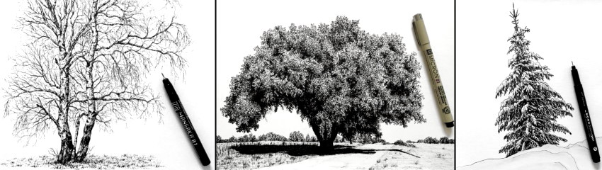 How to Draw a Realistic Tree  Easy Drawing Tutorial For Kids