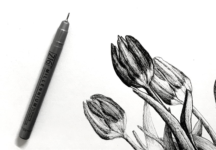 ballpoint pen drawings of flowers