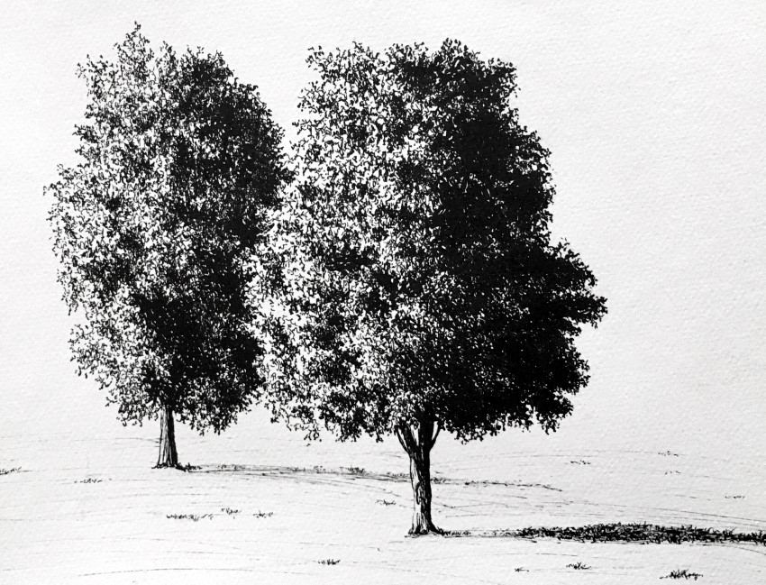 black ink drawings trees