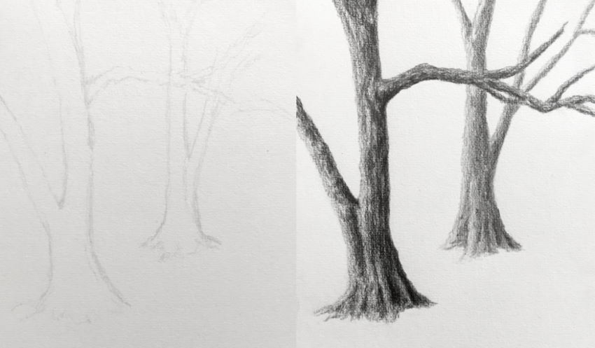 Learn How To Draw Trees:Amazon.in:Appstore for Android