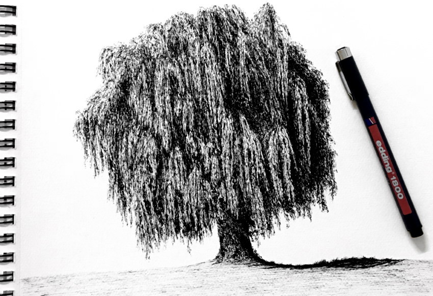 How to Draw Realistic Trees with Ink Pens: Observation, Shading