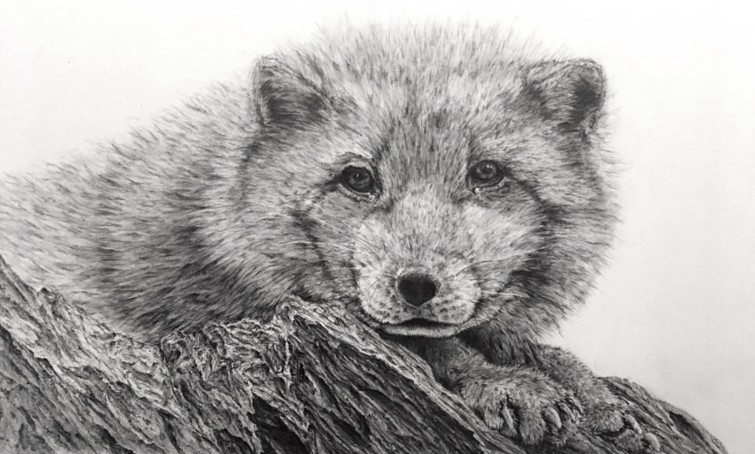 Realistic Pencil Drawing Gallery Tutorials Ran Art Blog