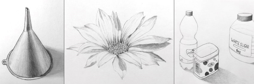 simple still life drawings in pencil