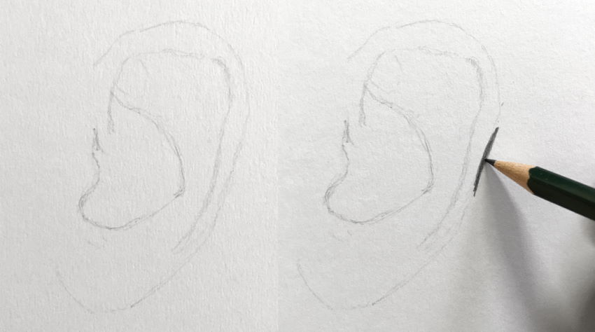 How to Draw an Ear Step by Step - Side View