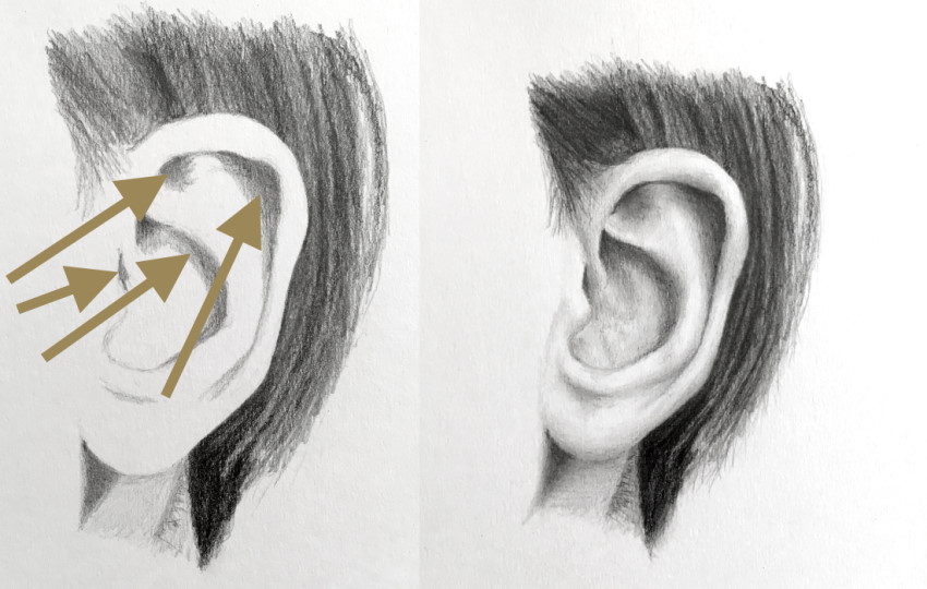 Realistic pencil drawing of an ear