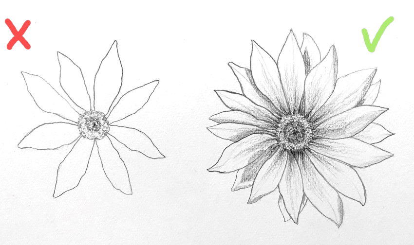 drawing for beginners flowers