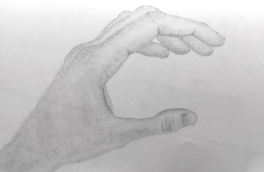 Realistic hand pencil drawing