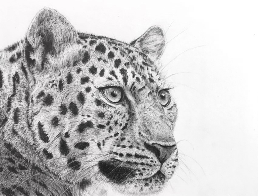 Realistic Pencil Drawing Gallery Tutorials - Ran Art Blog