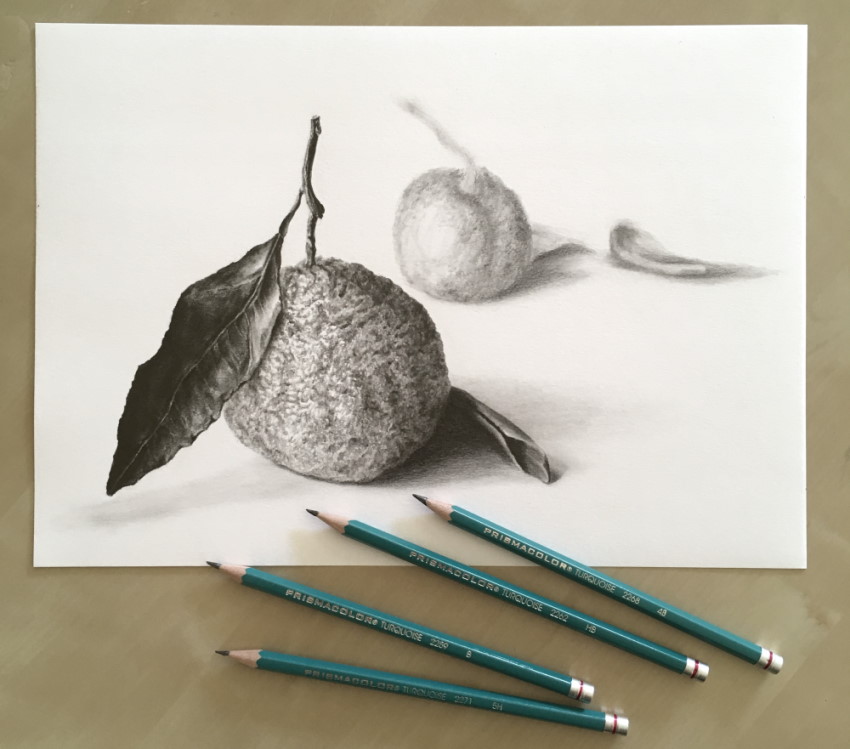 Realistic orange graphite drawing with Prismacolor Turquoise pencils
