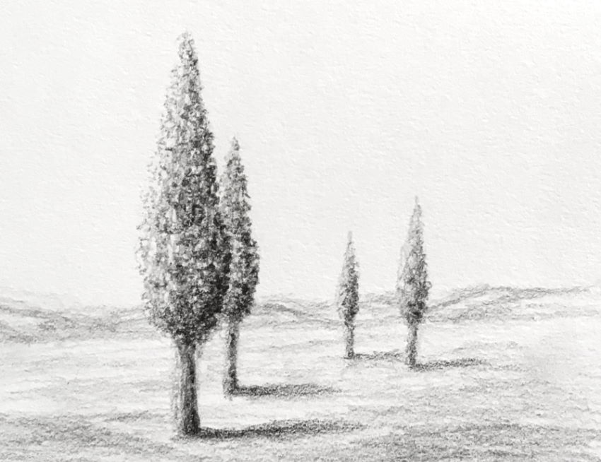 overlapping trees pencil drawing