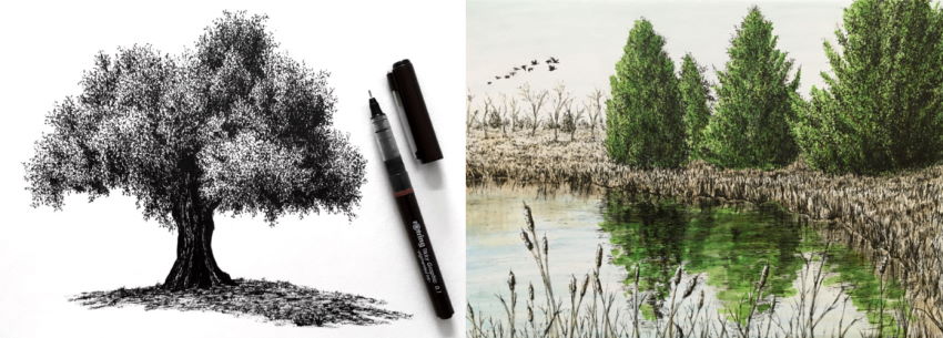 Examples for drawing trees with pens and markers