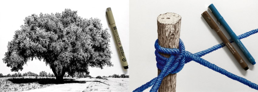 Examples of my tree pen drawings