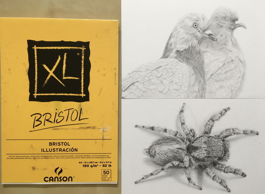 Canson® XL® Bristol 