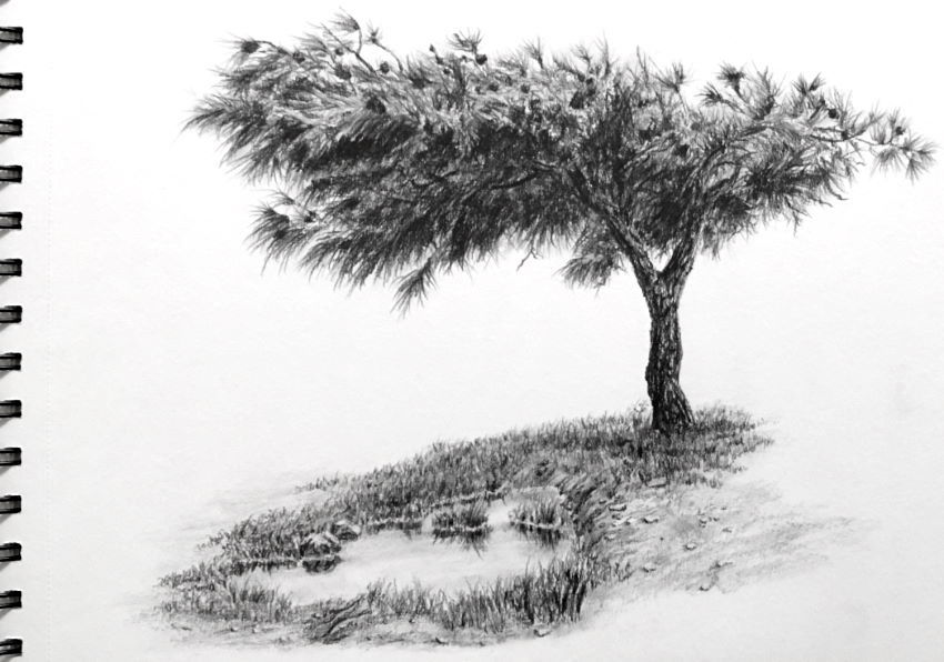 Sketchbook review - painting and drawing plein air using casein, charcoal  and graphite. 