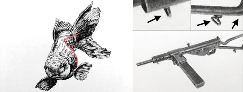 Examples for torus shape drawing