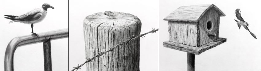 Texture drawing examples with graphite pencils