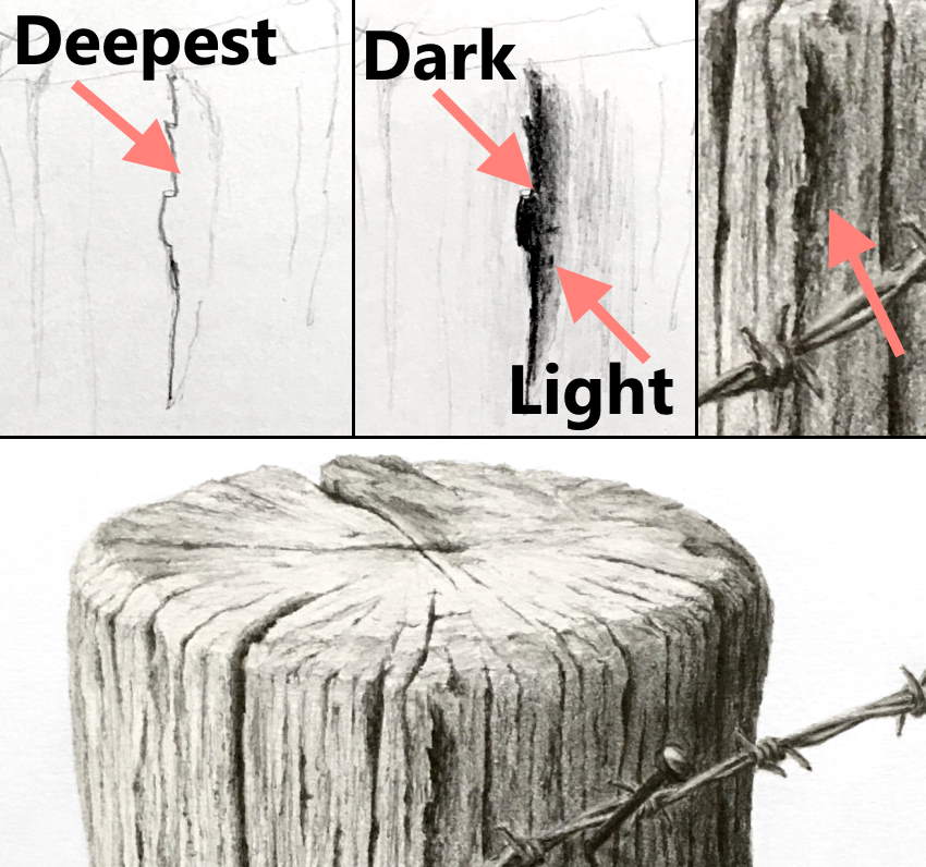 tree texture drawing